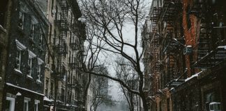 Studia na kierunku architektura