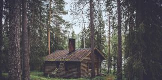 Dom piętrowy czy też parterowy