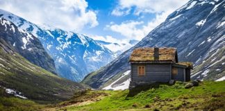 Budownictwo- coś na przyszłość