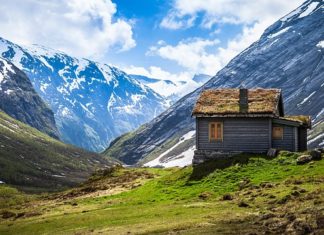 Budownictwo- coś na przyszłość