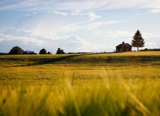 Dom autonomiczny Dom autonomiczny