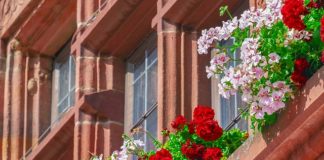 Dom z piwnicą czy bez podpiwniczenia