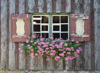 Rozwiązanie dla każdego