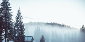 Nieruchomości na rynku