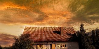 Dobra organizacja podstawa budowania