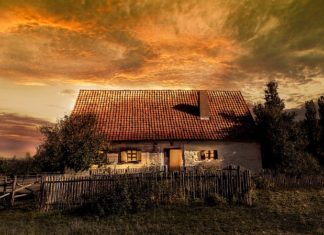 Dobra organizacja podstawa budowania