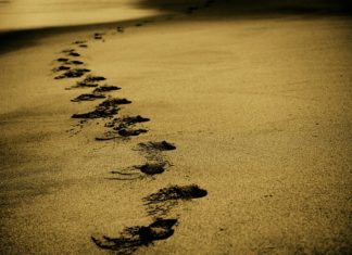 Pielgrzymki Pielgrzymki