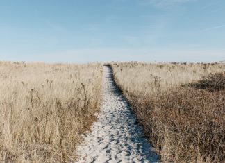 Katedra Notre Dame Katedra Notre Dame