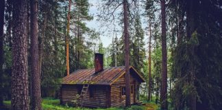 Świeża żywność w sklepie i magazynie