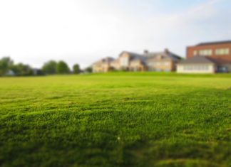 Zmywarka a potrzeby domowników