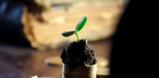 Sprzęt i samochody na firmę