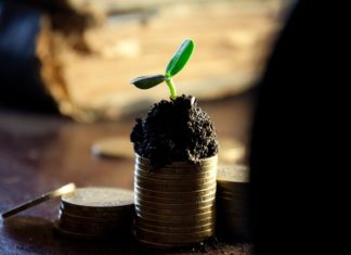 Sprzęt i samochody na firmę