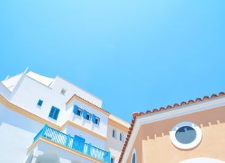 Kwiaty i rośliny Kwiaty i rośliny