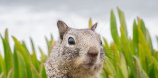 Markowe ubrania używane