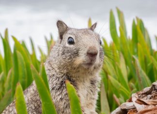 Markowe ubrania używane Markowe ubrania używane