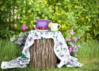 Ogród na wsi Ogród na wsi