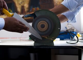 Czy można samemu ostrzyc psa?