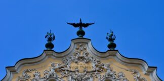 Do kogo należy Falken?