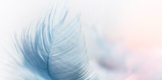 Czy wiatr może przewrócić auto?