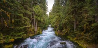 Ile bar w centralnym ogrzewaniu?