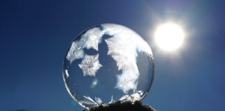 Kiedy jest za zimno dla kota?