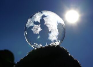 Kiedy jest za zimno dla kota? Kiedy jest za zimno dla kota?