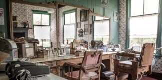 Czy golić psa na lato?