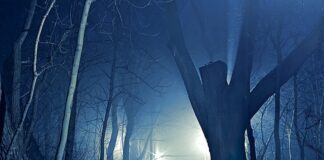 Jak powinien być obcięty york?