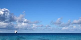 Co zamiast markizy na taras?