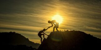 Jak często prać legowisko dla psa?