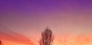 Na co zwrócić uwagę przy kupnie przyczepy kempingowej?