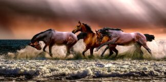 Ile to jest trzy czwarte?