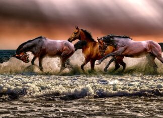 Ile to jest trzy czwarte? Ile to jest trzy czwarte?