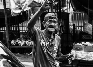 Jaka maszynka do strzyżenia psa yorka?