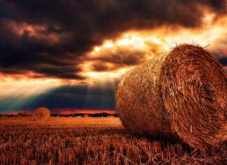 Co do budy siano czy słoma?