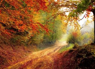 O jakiej porze dnia ciśnienie krwi jest najwyższe? O jakiej porze dnia ciśnienie krwi jest najwyższe?