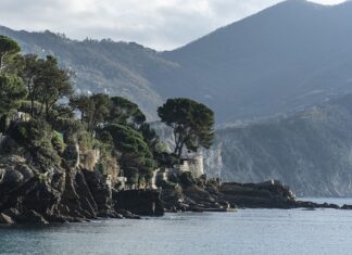 Ile kosztuje samochód Renault? Ile kosztuje samochód Renault?