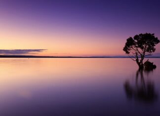 Ile to jest 100 ml wody w szklance? Ile to jest 100 ml wody w szklance?