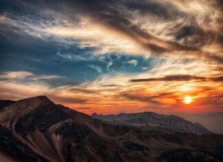 Ile to jest 1 godzina dla psa? Ile to jest 1 godzina dla psa?