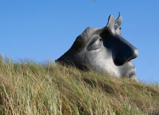 Jak uspokoić przestraszonego kota? Jak uspokoić przestraszonego kota?