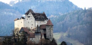 Jaka jest cena Skody Citigo?