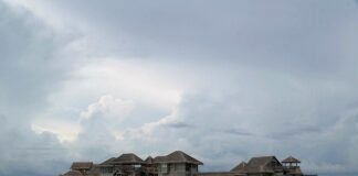 Jaka powinna być buda dla kota?