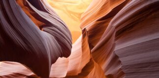 Jakiej wielkości otwór w budzie dla kota?