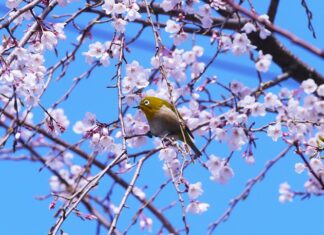 Jakie witaminy i minerały na potencje? Jakie witaminy i minerały na potencje?