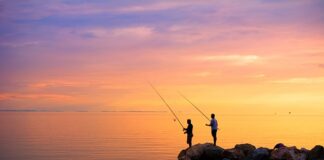 Co zrobić z dużym Prawdziwkiem?