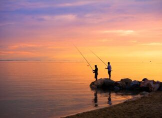 Co zrobić z dużym Prawdziwkiem? Co zrobić z dużym Prawdziwkiem?