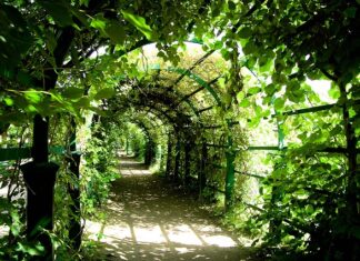 Co lepsze pergola czy markiza? Co lepsze pergola czy markiza?