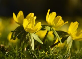 Ile bieżnika ma nową zimówka? Ile bieżnika ma nową zimówka?