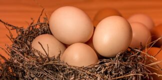 Jakie owoce na zbicie cholesterolu?