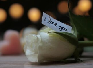 Jakim motorem można jeździć na dowód osobisty?